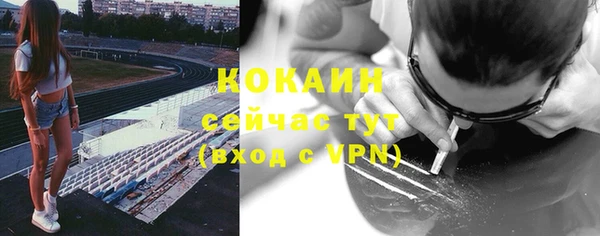 гашик Гусь-Хрустальный