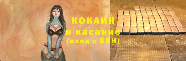 гашик Гусь-Хрустальный