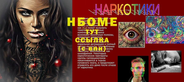 гашик Гусь-Хрустальный
