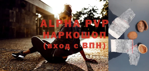 гашик Гусь-Хрустальный