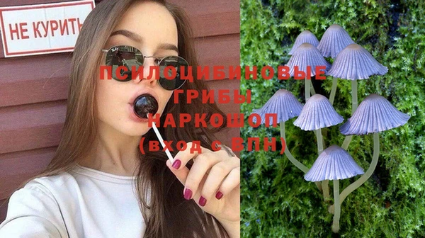 гашик Гусь-Хрустальный